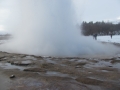 IMG_4387 (1024x768)
