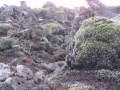 IMG_4499 (1024x768)
